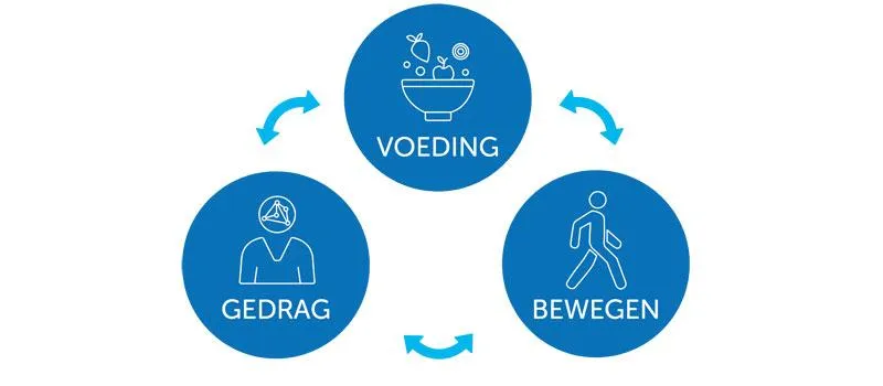 Gecombineerde Leefstijl Interventie (GLI)